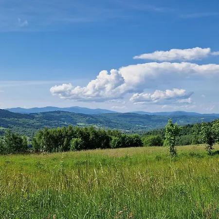 Na Grzadce Bienkowka